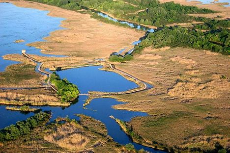 Tisza-tavi öblözetek